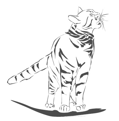 Иллюстрация к книге — Подарок от кота Боба [i_140.jpg]