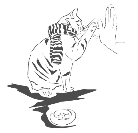 Иллюстрация к книге — Подарок от кота Боба [i_161.jpg]