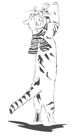 Иллюстрация к книге — Подарок от кота Боба [i_190.jpg]