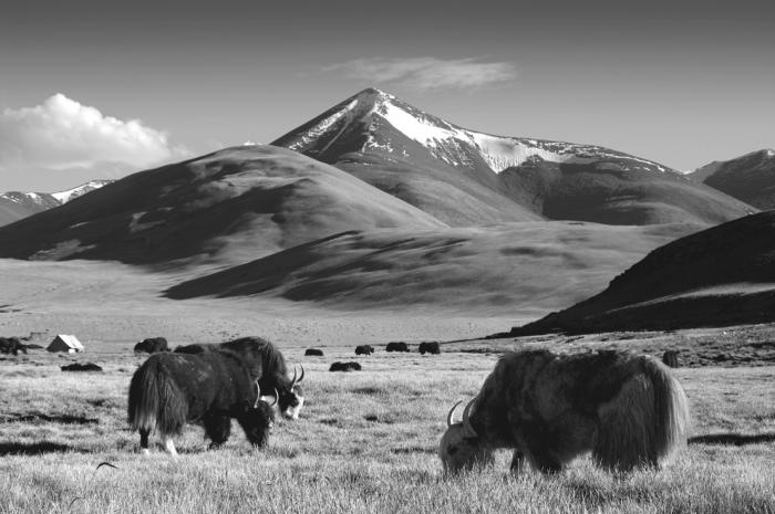 Иллюстрация к книге — Странник и его страна [_187.jpg]