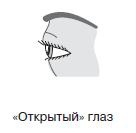 Иллюстрация к книге — Курс начинающего лжеца от А до Я [i_032.jpg]