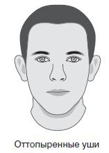 Иллюстрация к книге — Курс начинающего лжеца от А до Я [i_038.jpg]