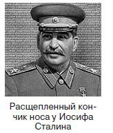 Иллюстрация к книге — Курс начинающего лжеца от А до Я [i_047.jpg]