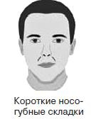 Иллюстрация к книге — Курс начинающего лжеца от А до Я [i_051.jpg]