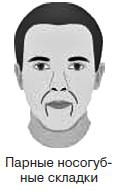 Иллюстрация к книге — Курс начинающего лжеца от А до Я [i_053.jpg]