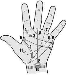 Иллюстрация к книге — Курс начинающего лжеца от А до Я [i_119.jpg]