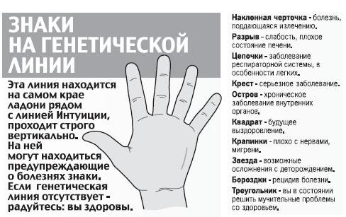 Иллюстрация к книге — Курс начинающего лжеца от А до Я [i_126.jpg]