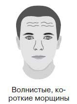 Иллюстрация к книге — Ты - лжец. Как научиться обманывать и манипулировать другими людьми [i_012.jpg]