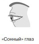 Иллюстрация к книге — Ты - лжец. Как научиться обманывать и манипулировать другими людьми [i_031.jpg]