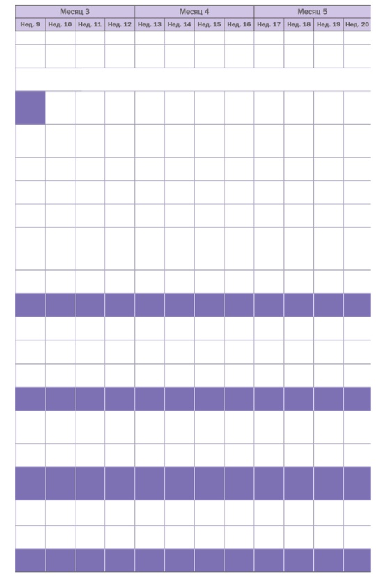 Иллюстрация к книге — Управляй своей мечтой. Как реализовать любой замысел, проект, план [i_009.jpg]