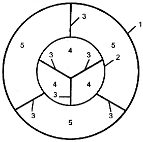 Иллюстрация к книге — Секс в семье и на работе [i_006.jpg]