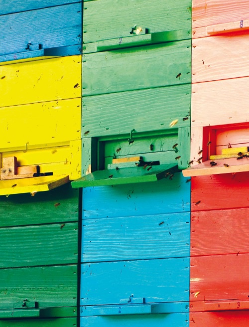 Иллюстрация к книге — Большая книга о счастье [i_026.jpg]