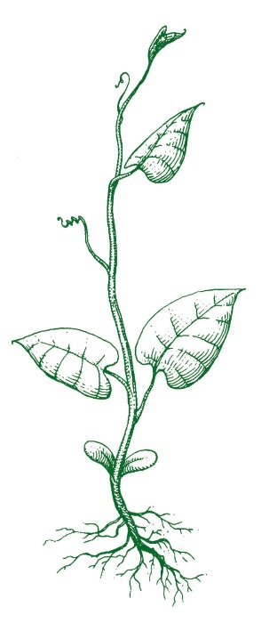 Иллюстрация к книге — Большая книга о счастье [i_032.jpg]