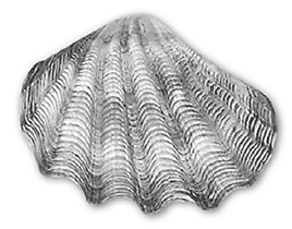 Иллюстрация к книге — 9 тайных посланий от монаха, который продал свой &quot;феррари&quot; [i_008.jpg]