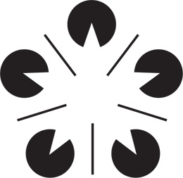 Иллюстрация к книге — Развитие интуиции. Как принимать верные решения без сомнений и стресса [i_014.jpg]