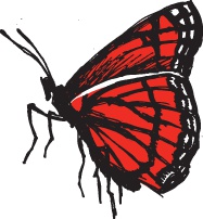 Иллюстрация к книге — Будь лучшей версией себя. Как обычные люди становятся выдающимися [i_022.jpg]