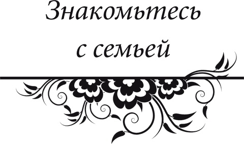 Иллюстрация к книге — Правила снижения веса. Как худеть, не чувствуя себя несчастным [i_023.jpg]