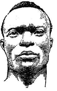 Иллюстрация к книге — Мужские хитрости и женские уловки. Лучший справочник по распознаванию лжи! Книга-тренажер [_0063.jpg]