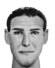 Иллюстрация к книге — Мужские хитрости и женские уловки. Лучший справочник по распознаванию лжи! Книга-тренажер [_0151.jpg]