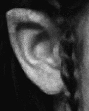 Иллюстрация к книге — Мужские хитрости и женские уловки. Лучший справочник по распознаванию лжи! Книга-тренажер [_055.jpg]