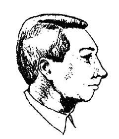 Иллюстрация к книге — Мужские хитрости и женские уловки. Лучший справочник по распознаванию лжи! Книга-тренажер [_072.jpg]