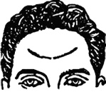 Иллюстрация к книге — Мужские хитрости и женские уловки. Лучший справочник по распознаванию лжи! Книга-тренажер [_078.jpg]