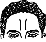 Иллюстрация к книге — Мужские хитрости и женские уловки. Лучший справочник по распознаванию лжи! Книга-тренажер [_081.jpg]