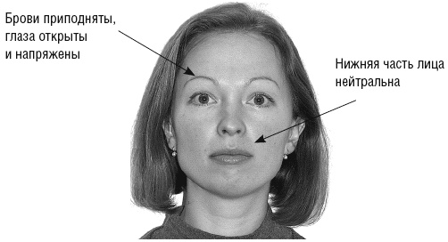 Иллюстрация к книге — Мужские хитрости и женские уловки. Лучший справочник по распознаванию лжи! Книга-тренажер [_082_1.jpg]