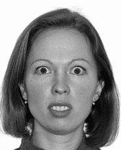 Иллюстрация к книге — Мужские хитрости и женские уловки. Лучший справочник по распознаванию лжи! Книга-тренажер [_125.jpg]