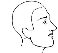 Иллюстрация к книге — Мужские хитрости и женские уловки. Лучший справочник по распознаванию лжи! Книга-тренажер [image208.jpg]