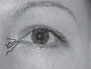 Иллюстрация к книге — Мужские хитрости и женские уловки. Лучший справочник по распознаванию лжи! Книга-тренажер [n091.jpg]