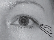 Иллюстрация к книге — Мужские хитрости и женские уловки. Лучший справочник по распознаванию лжи! Книга-тренажер [n093.jpg]