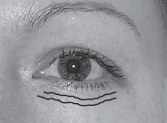 Иллюстрация к книге — Мужские хитрости и женские уловки. Лучший справочник по распознаванию лжи! Книга-тренажер [n095.jpg]