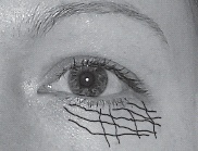 Иллюстрация к книге — Мужские хитрости и женские уловки. Лучший справочник по распознаванию лжи! Книга-тренажер [n096.jpg]