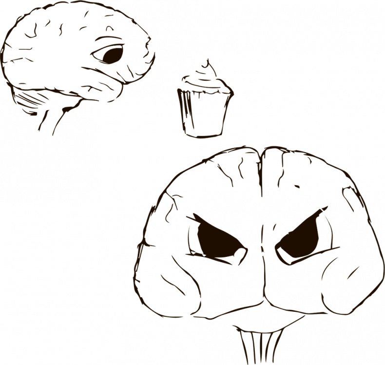 Иллюстрация к книге — Кто бы мог подумать! Как мозг заставляет нас делать глупости [i_007.jpg]