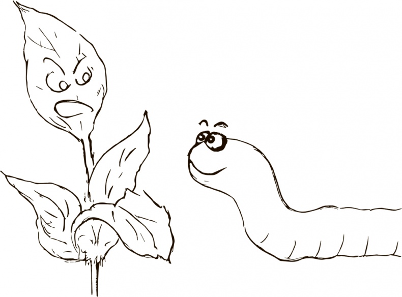 Иллюстрация к книге — Кто бы мог подумать! Как мозг заставляет нас делать глупости [i_012.jpg]