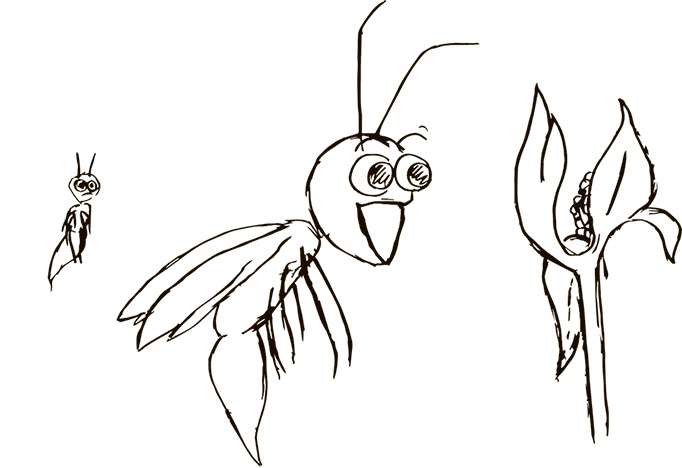 Иллюстрация к книге — Кто бы мог подумать! Как мозг заставляет нас делать глупости [i_036.jpg]