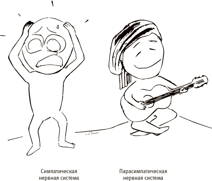 Иллюстрация к книге — Кто бы мог подумать! Как мозг заставляет нас делать глупости [i_049.jpg]