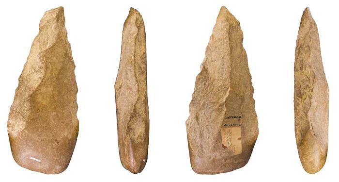 Иллюстрация к книге — Расы. Народы. Интеллект [_72.jpg]