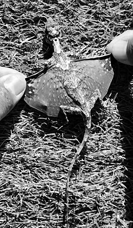 Иллюстрация к книге — Выдающийся ум. Мыслить как Шерлок Холмс [doc2fb_image_0200000E.jpg]