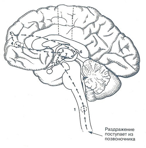 Иллюстрация к книге — Непобедимый интроверт [i_001.jpg]