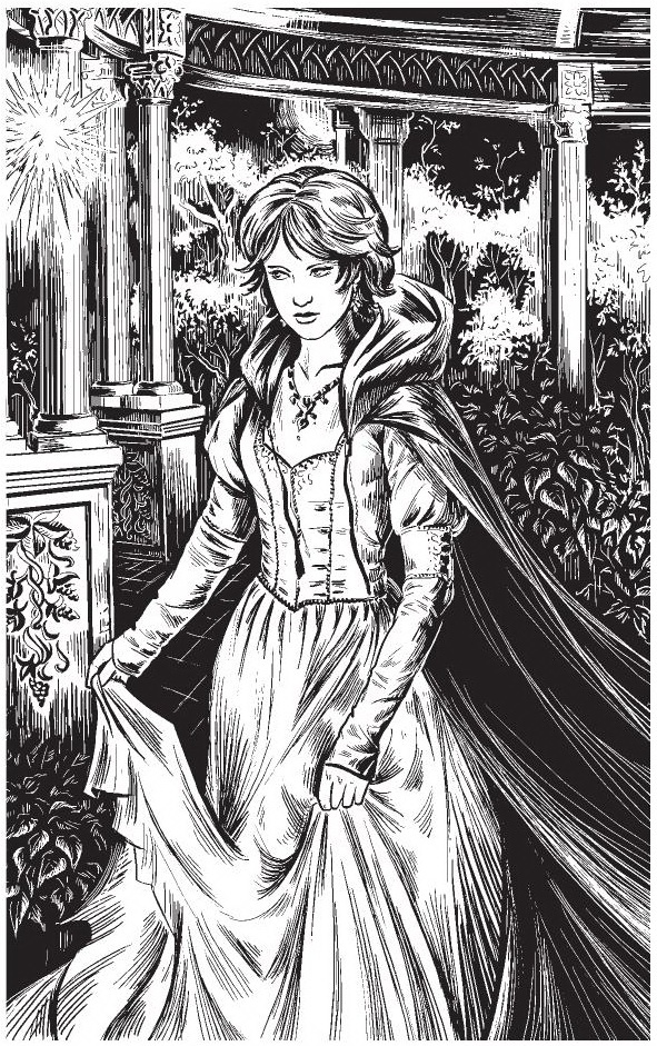 Иллюстрация к книге — Анастасия. Дело для нежной барышни [i_001.jpg]