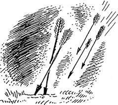 Иллюстрация к книге — Квартет Дейлмарка. Книга 3. Вниз по великой реке [i_008.jpg]