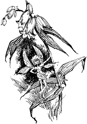 Иллюстрация к книге — Трикс. Недотепа. Непоседа [id124833_i_014.jpg]