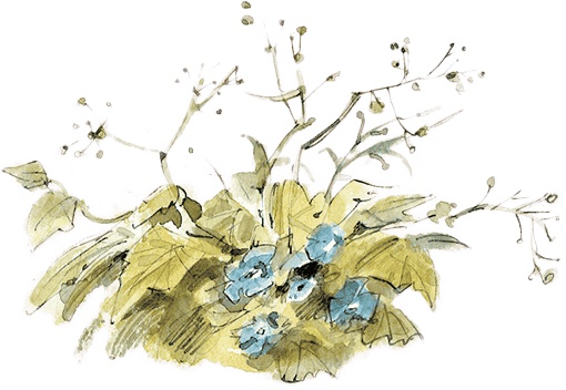 Иллюстрация к книге — Щепкин и коварные девчонки [i_002.jpg]