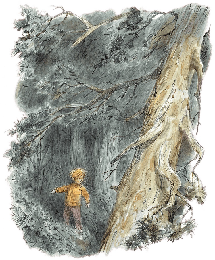 Иллюстрация к книге — Щепкин и коварные девчонки [i_017.jpg]