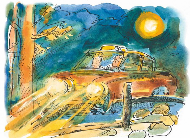 Иллюстрация к книге — Маленький подарок Антона [i_070.jpg]