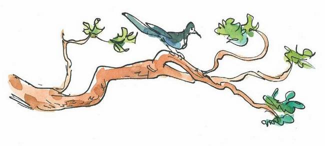 Иллюстрация к книге — Маленький подарок Антона [i_079.jpg]