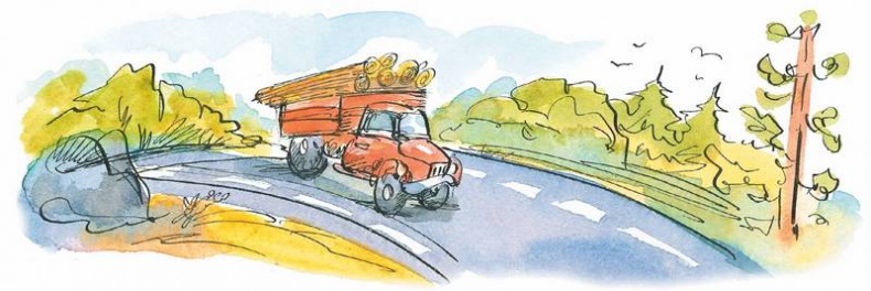 Иллюстрация к книге — Маленький подарок Антона [i_102.jpg]