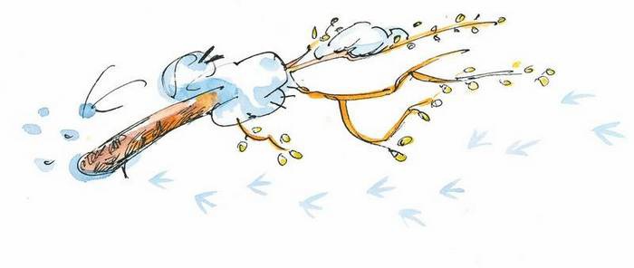 Иллюстрация к книге — Маленький подарок Антона [i_115.jpg]